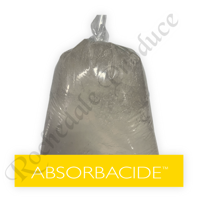 ABSORBACIDE DIATOMACEOUS EARTH 1KG