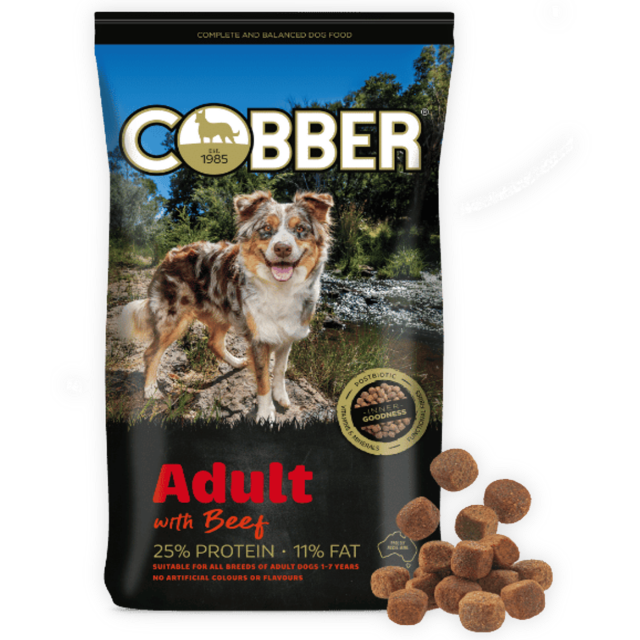 COBBER ADULT WITH BEEF 20KG 