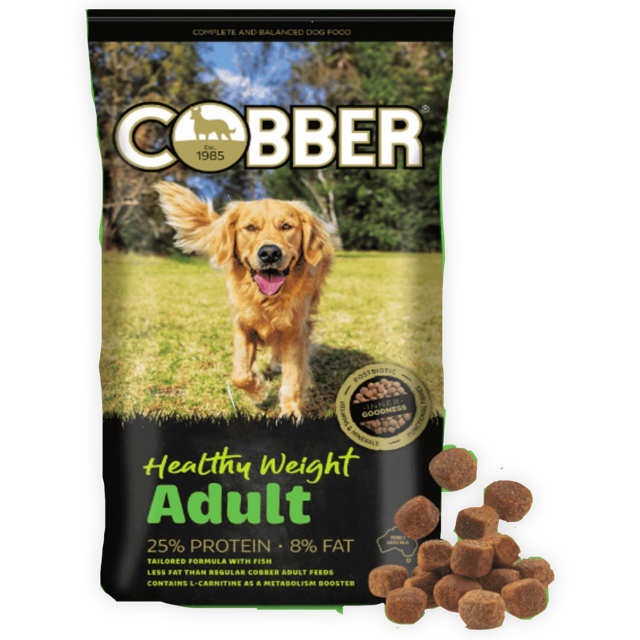 COBBER ADULT HEALTHY WEIGHT 20KG 