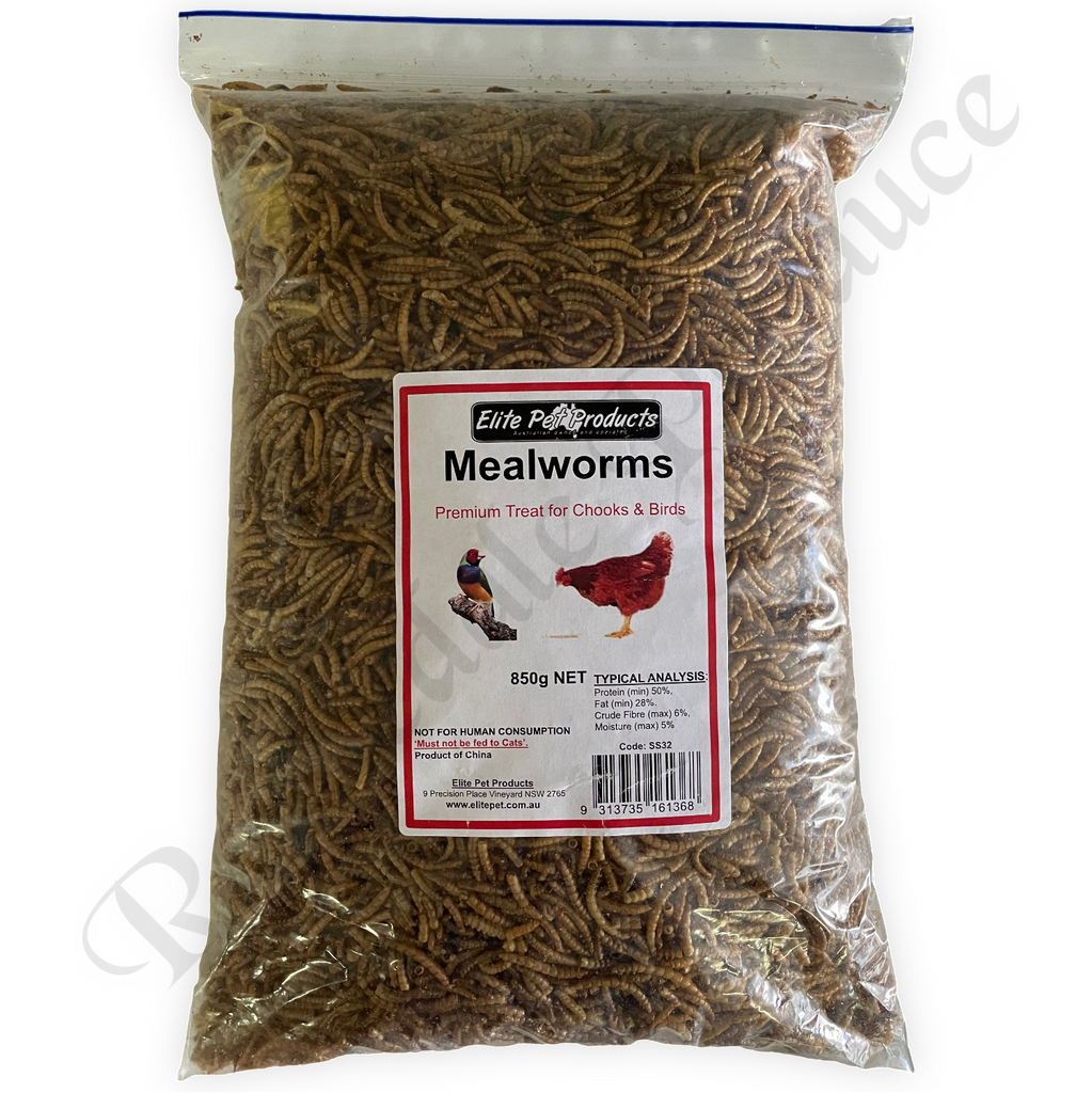 Dried Mealworms 850g