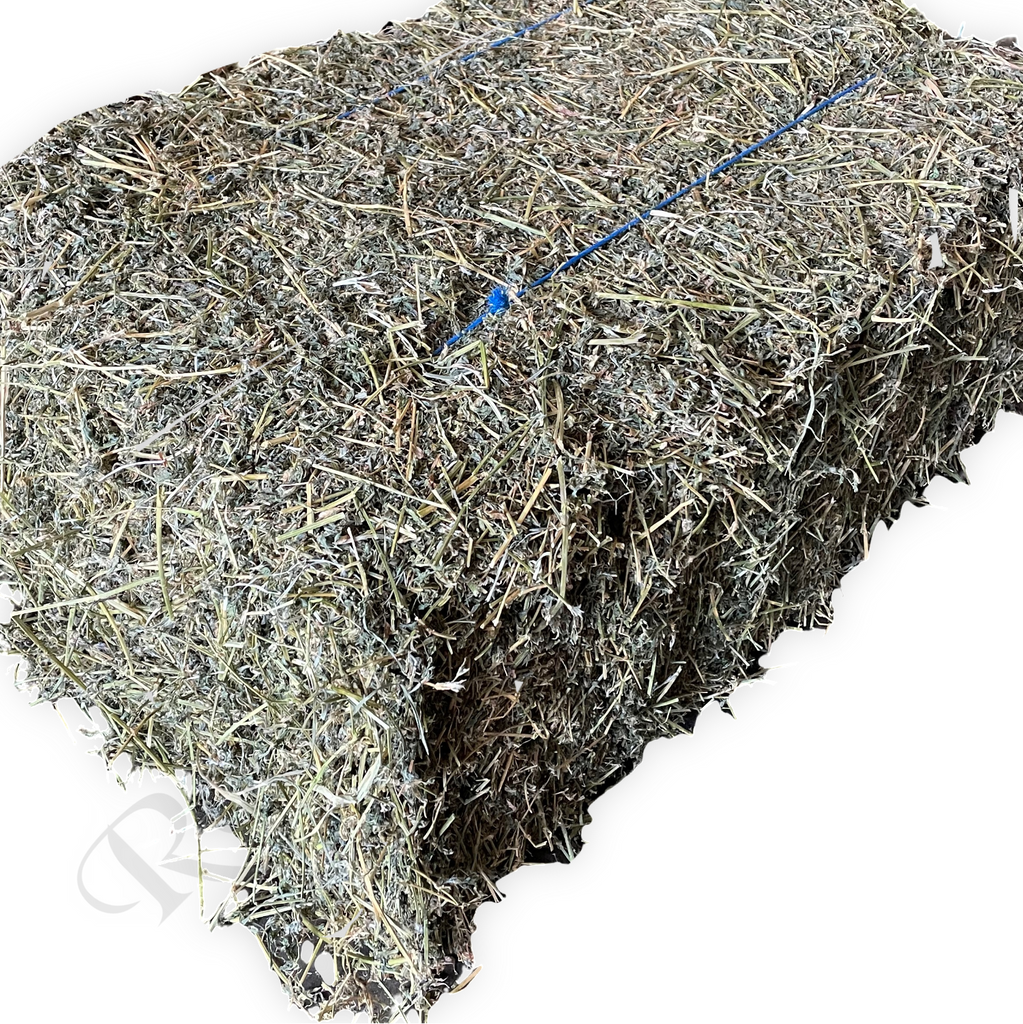 Hay Prime Lucerne